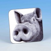 8210 Coaster-MARK CHARLES-PIG
